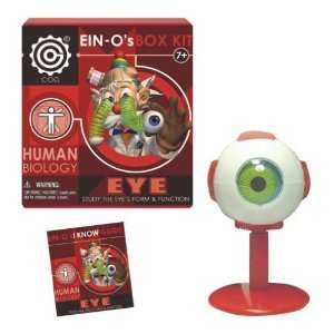  EIN Os Eye Box Kit by TEDCO Toys & Games