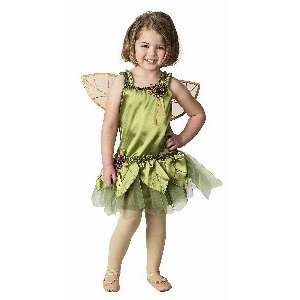  Garden Fairy with Detachable Wings, Ages 6 8 Toys & Games