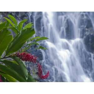 Kepirohi Waterfall, Pohnpei, Federated States of Micronesia Premium 