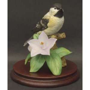  Sadek Sadek Bird Figurines with Box, Collectible