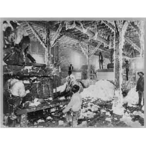    Cotton gin,operation,workers pressing bales,MS,1899