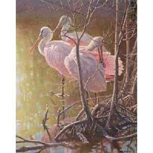  Robert Bateman   Mangrove Morning Roseate Spoonbills