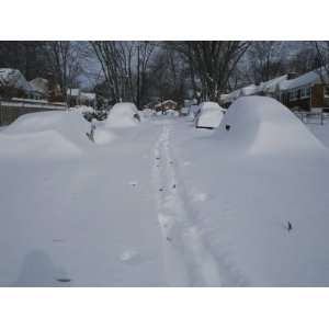  Snow Covered Streets and Buried Cars from the Blizzard of 