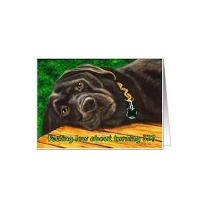  Funny Birthday ~ 32 Years Old ~ Labrador Dog Card Toys 
