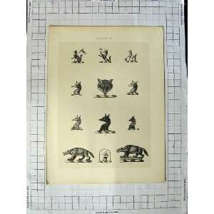  A Plate Of Heraldry Crests C1790 C1900 Fox Animals