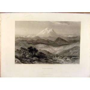 The Holy Bible Mount Hermon Steel Engraving 