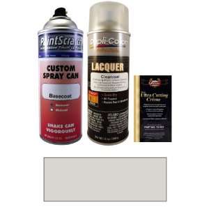  12.5 Oz. Whistler Silver Metallic Spray Can Paint Kit for 