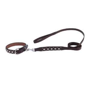  Zack & Zoey Leather Olympus Pet Lead, 1 Inch, Studded Pet 