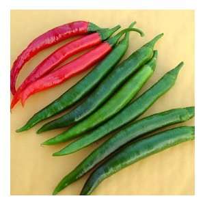  Goat Horn Hot Pepper 4 Plants   Good Yields   Also Known 