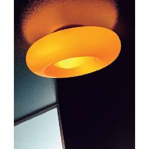 Sprout ceiling light   topaz, small, 110   125V (for use 