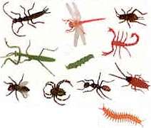 Lot of 1000 Assorted Rubber and/or Plastic 1 Inch to 3 Inch Insects