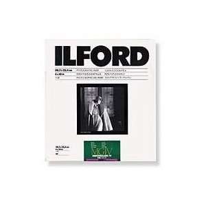  Ilford Mltgrde IV 12x16 FBR 50SH 1834039