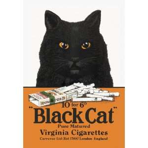  Black Cat Pure Matured Virginia Cigarettes 44X66 Canvas 