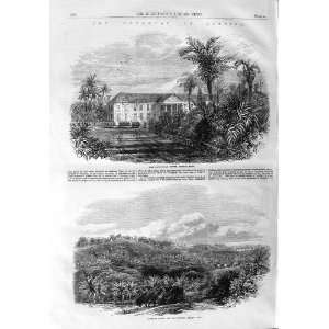 1865 Jamaica Muirton House Morant Bay Plantation Maroon  