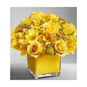 Flowers by 1800Flowers   Colors of Love   Yellow   Large  