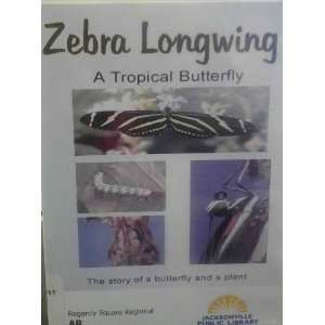  Zebra Longwing   A Tropical Butterfly [DVD] Everything 