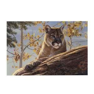  Front Range Cougar by Kalon Baughan 14x11