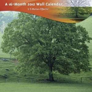  Tree in Meadow 2012 3 D Lenticular Wall Calendar