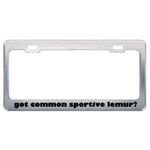 Got Common Sportive Lemur? Animals Pets Metal License Plate Frame 