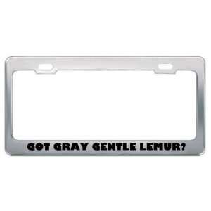 Got Gray Gentle Lemur? Animals Pets Metal License Plate Frame Holder 