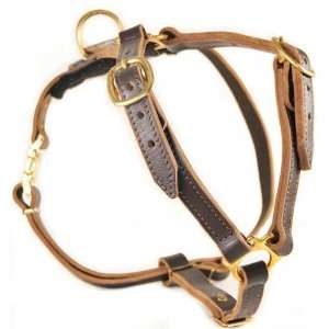  Tylers Choice Leather Dog Harness