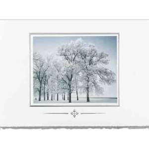 Birchcraft Studios 8437 Winter Trees   Silver Deckle Edge White Lining 