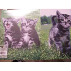  Keith Kimberlin Kitten Folder ~ Kitten Adventures Office 