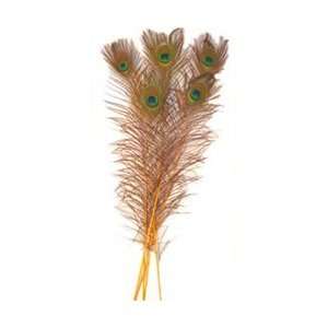  Dyed Gold Peacock Feathers 35 40 (Pack of 100) Arts 