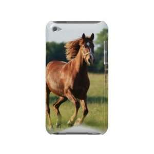  Chestnut Galloping Horse iTouch Case Ipod Case mate Cases 