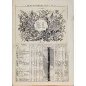  Wild Flowers 1866 Month April Events Diary Old Print