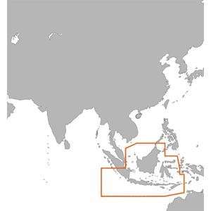   MAP AS C206 FURUNO FP FORMAT JAVA & INDONESIA (19957) Electronics
