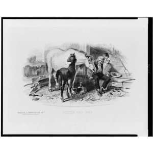 Bank note illustration,bucolic scene,horse,man 1856
