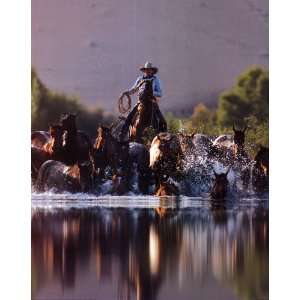 Cowboy Roundup Horses Western Ranch   Photography Poster   16 x 20 