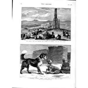  1879 Afghan War Fortress Citadel Ghuznee Dogs Ottawa