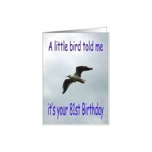  Happy 81st Birthday Flying Seagull bird Card Toys & Games