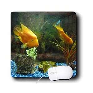  Florene Fish   Koi Talk   Mouse Pads Electronics