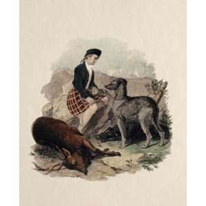 Gillie With Deer Hound & Deer 