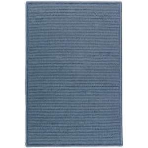   Simple Home Solid 2 3 x 3 10 lake blue Area Rug