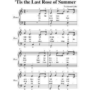 Tis the Last Rose of Summer Easy Piano Sheet Music Traditional Celtic 