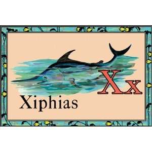  Xiphias by Unknown 18x12