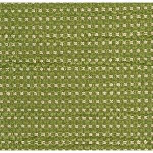  2169 Matrix in Grass by Pindler Fabric