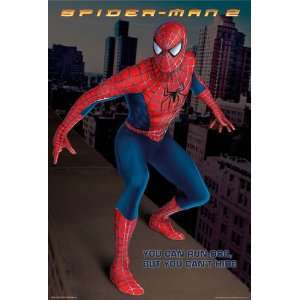  Spider Man 2 Movie Poster