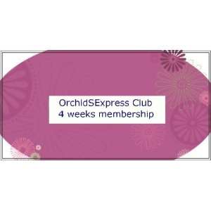  Orchidsexpress Club Dendrobium Orchids Membership Patio 
