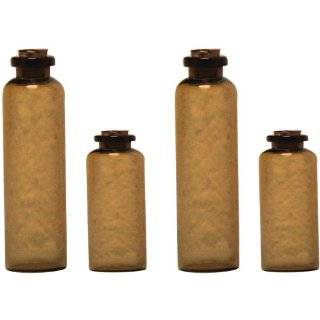 Twos Company Botany Apothecary Jars with Antiqued Labels, Set of 9 