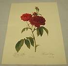   EVEQUE/Full Color Repro. of c1825 Print from LES ROSES/PJ Redoute/P101