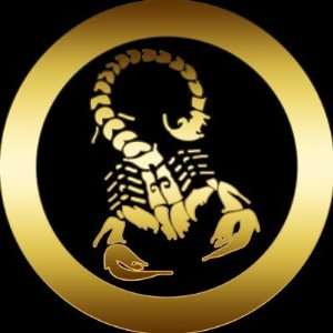  Golden Scorpion Round Sticker Arts, Crafts & Sewing