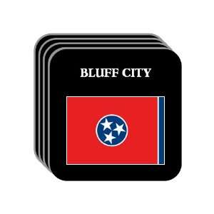  US State Flag   BLUFF CITY, Tennessee (TN) Set of 4 Mini 