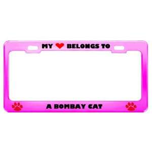 Bombay Cat Pet Pink Metal License Plate Frame Tag Holder