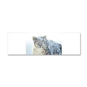  42 x 14 Wall Vinyl Sticker Snow Leopard HD Apple 