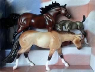 All American Quarter Horse POCO BUENO FAMILY New  